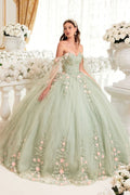15716 SAGE BALL GOWN WITH BLUSH FLORAL DETAILSE - QUINCEANERA DRESSES