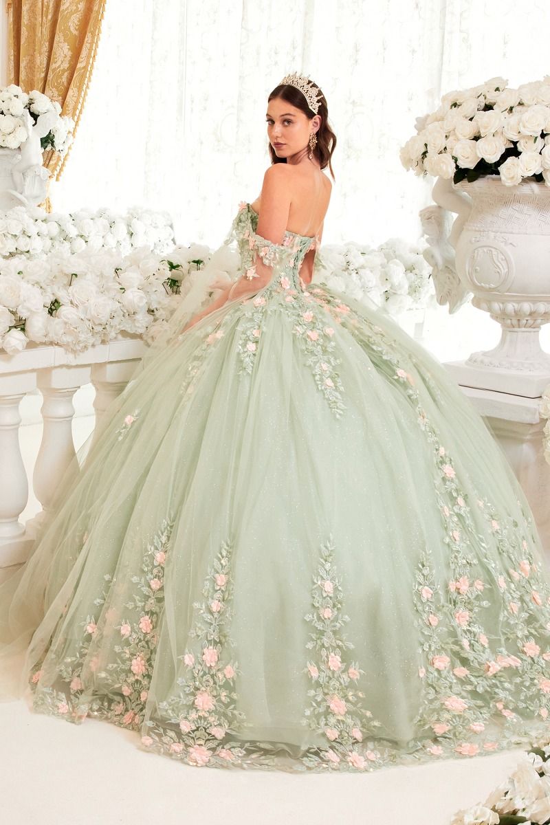 15716 SAGE BALL GOWN WITH BLUSH FLORAL DETAILSE - QUINCEANERA DRESSES