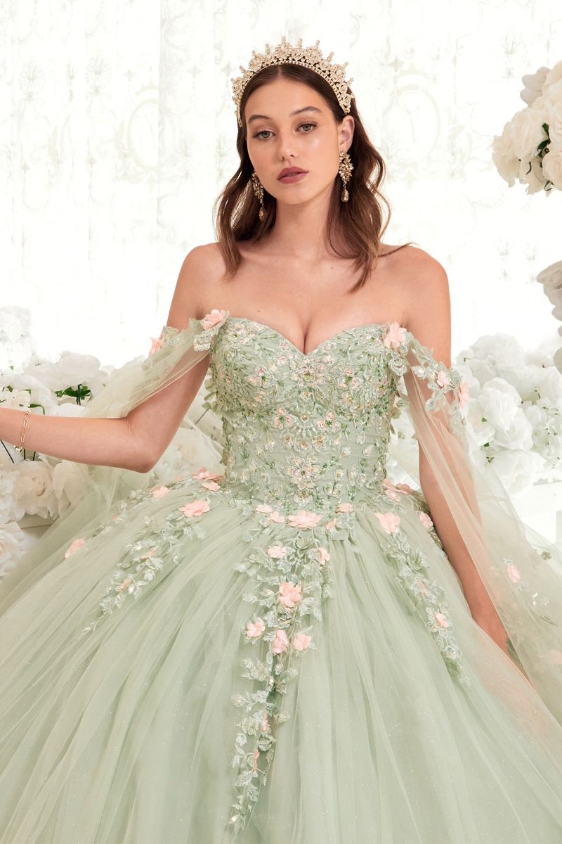 15716 SAGE BALL GOWN WITH BLUSH FLORAL DETAILSE - QUINCEANERA DRESSES